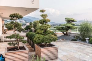 Dachterrasse Terrassen Lounge vom Zuger Gartembaier